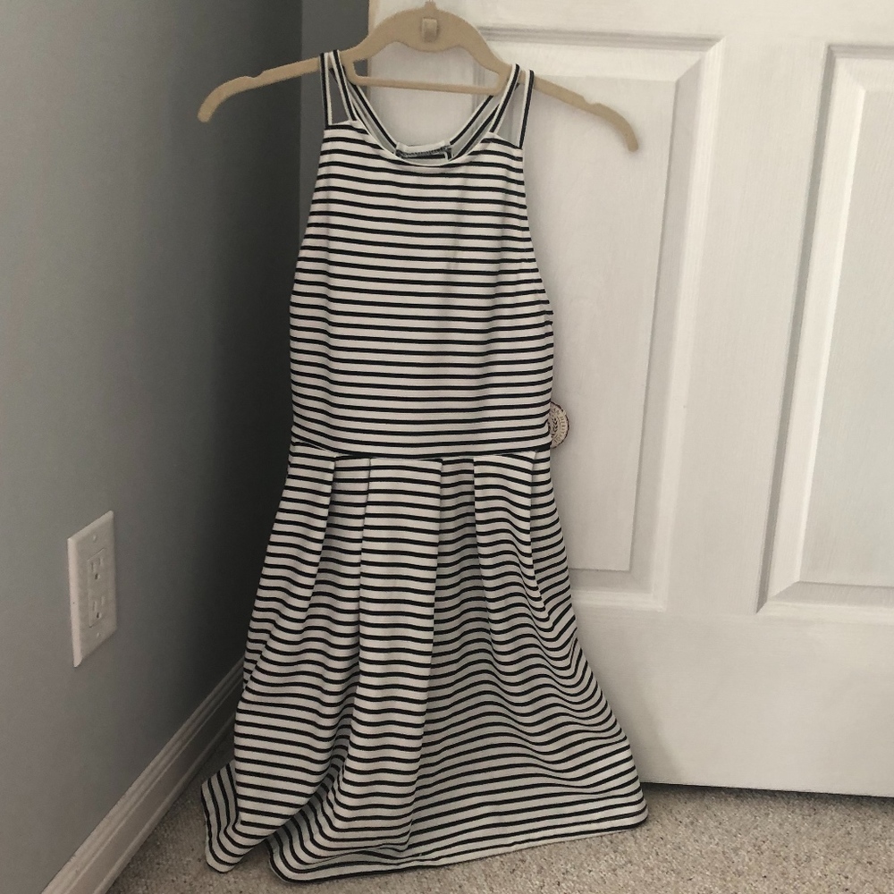 Striped Skater Dress
